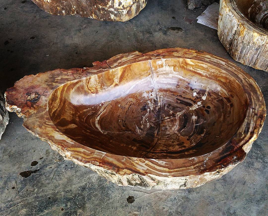 gỗ hoá thạch 01