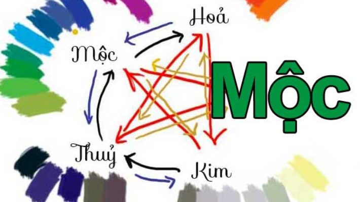Mệnh môc hợp màu gì? Nên kiêng kỵ màu nào?