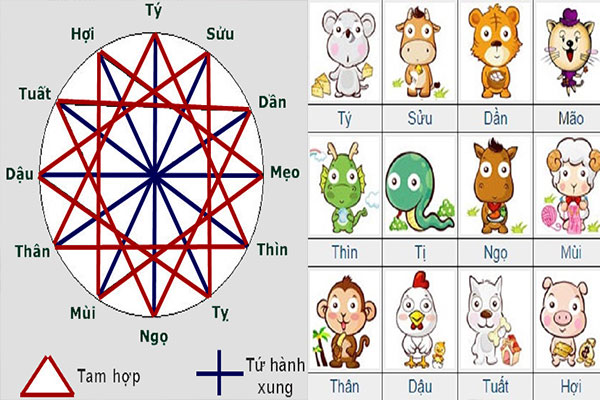 tam hơp 01