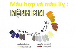 Người thuộc mệnh kim hợp màu gì?