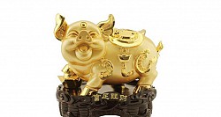 Sinh năm 1971 mệnh gì?